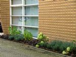 PLantvak8.JPG