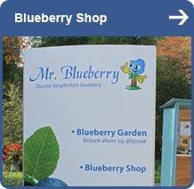 Mr. Blueberry shop 