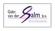 vdsalm