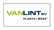 vanlint